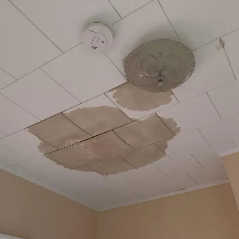 Ceiling Water Damage Repair in Calistoga, CA