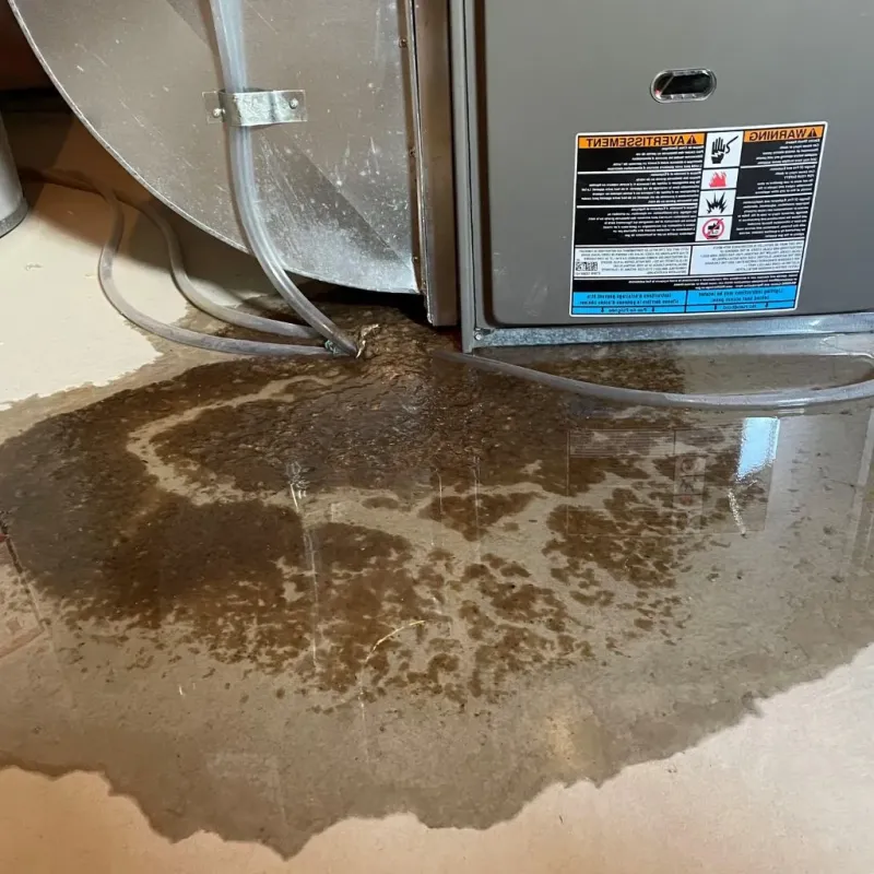 Pipe Burst and Leak Restoration in Calistoga, CA